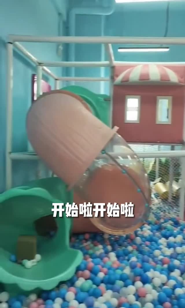游乐场 实景无人直播案例